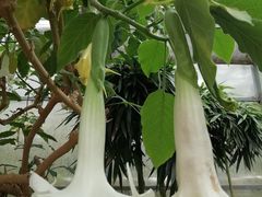 -兰陵国家农业公园