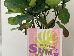 -BUTTERFUL&CREAMOROUS 黄油与面包(三里屯太古里店)