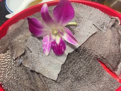 -醉董牛川派鲜肉自选火锅(烟台店)