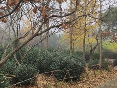 -缥缈峰景区