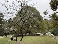 -生态园山庄(森林公园店)