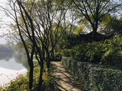 -杭州花家山庄