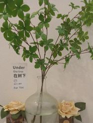 -禾壹净·素颜美问题肌肤修护中心