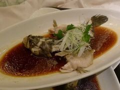 iphone_upload_pic-品悦酒店(三林古镇店)