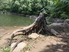 -何适山庄 ·可团建(水长城P2停车场店)