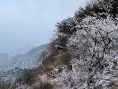 -泰山风景名胜区
