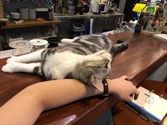 -咖法森林·咖啡  酒吧(天河店)