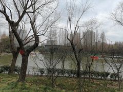 -黄兴公园