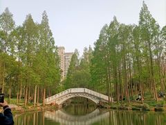 -大宁公园