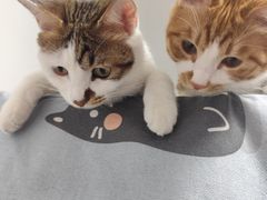 -味多美蛋糕(古城店)