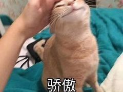 -谭师爷龙抄手(白下路店)