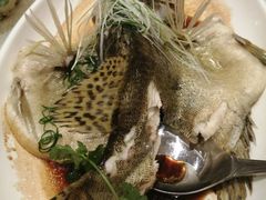 大笋壳鱼-御口福(王圣堂店)