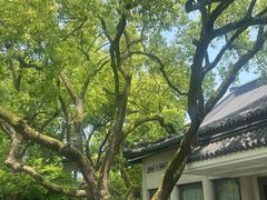 -浙江西子宾馆·瑶园咖啡厅