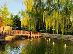 -北门涮肉·炭火铜锅涮肉(什刹海店)