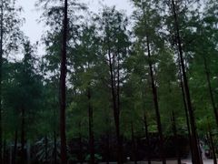 -晓港公园