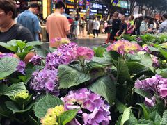 -八一路好吃街(雨田商务大厦店)