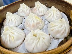 -莱莱小笼·乔艾