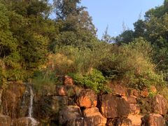 -广东花都湖国家湿地公园