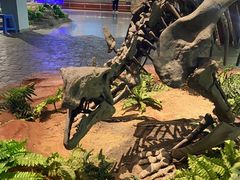 -自贡恐龙博物馆