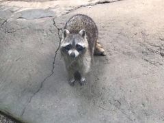 -杭州野生动物世界