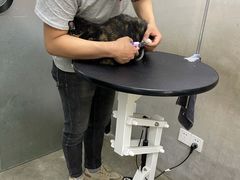 -PETKIT小佩宠物·低压洗护(国顺东路店)