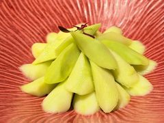 -润苑(徐汇店)