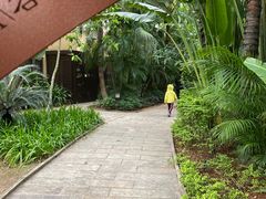 -厦门日月谷温泉渡假村