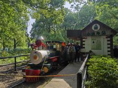 -上海共青森林公园