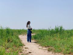 -合肥滨湖国家森林公园