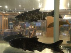 -北大荒淡水鱼馆(秀水广场店)