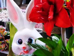 -朝来春花卉市场-东停车场