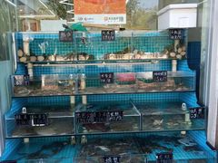 -北戴河庆山饭店·海鲜砂锅粥(北戴河黑石路店)