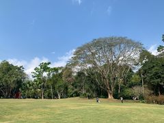 -中国科学院西双版纳热带植物园