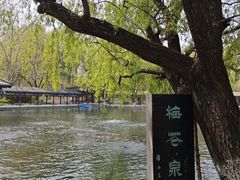 -百脉泉景区