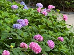 -常州古运河南大街文化旅游区-人民公园