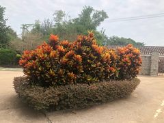 -涠洲岛-圣母堂