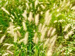 -回龙观体育文化公园