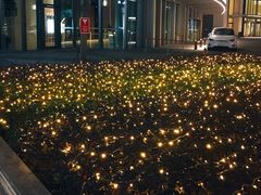 -TESLA 特斯拉(上海太古汇体验店)
