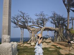 -海南分界洲岛旅游区