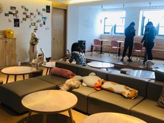 -猫腻·猫咖·撸猫馆(星光大道店)