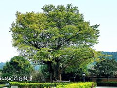 -密印寺