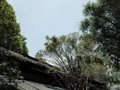 -星巴克(成都锦里店)