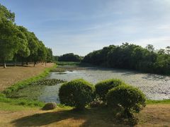 -艾溪湖湿地公园