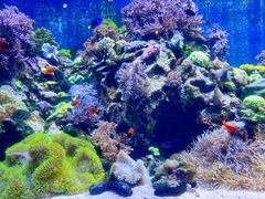 -珠海长隆海洋王国