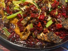 -老板恋上鱼(高新万达店)