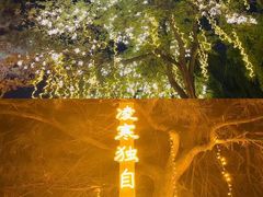 -万泉公园