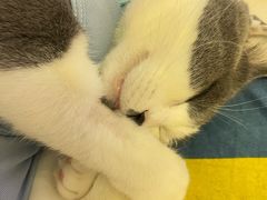 -北京恒爱动物医院(清景园分院)