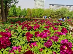 -北京奥林匹克公园