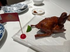 -侨美食家·40年地道粤菜(珠江新城店)