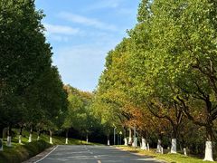 -方山风景区定林寺